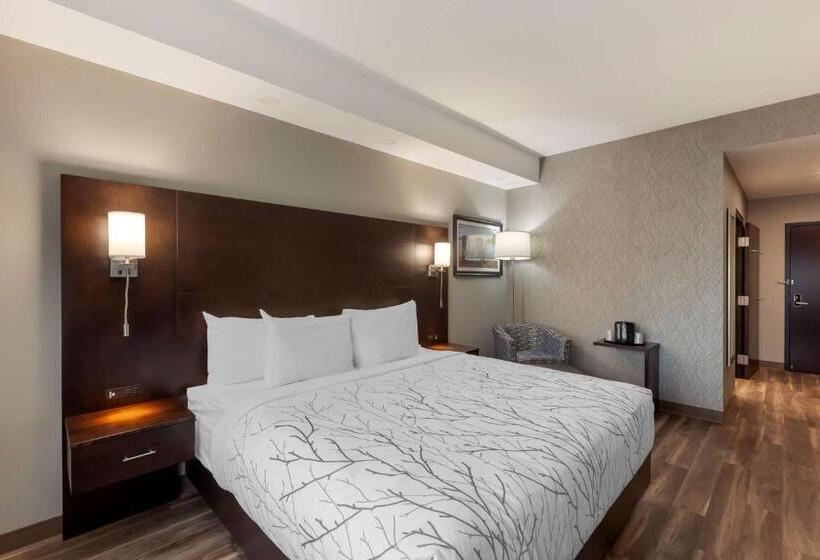 适合残疾人士使用的带超级大床的标准间, Best Western Premier Northwood