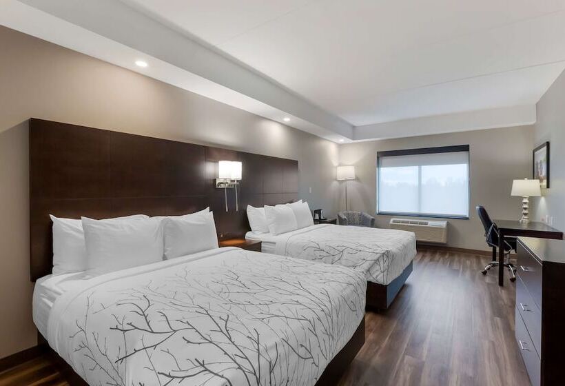 套房, Best Western Premier Northwood