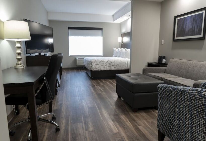 套房, Best Western Premier Northwood