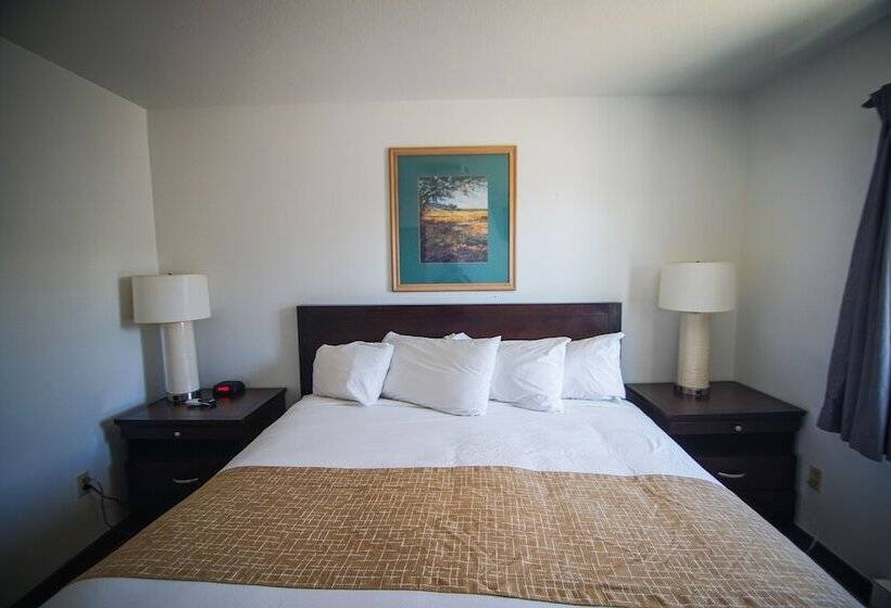 キングサイズベッドのスイートルーム, Travelodge By Wyndham Colorado Springs Airport/peterson Afb