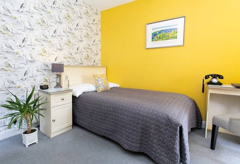 스탠다드 싱글 룸, Shelleven Guest House