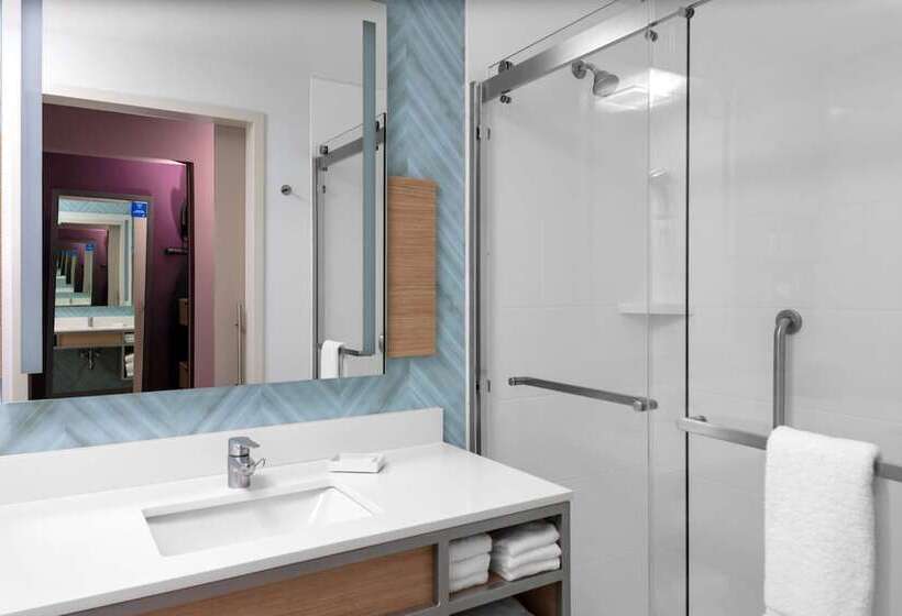 스탠다드 룸 더블 침대, Hilton Garden Inn Ocala Downtown