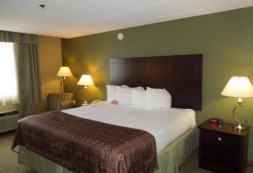 Стандартный Номер Кровать Кинг, Best Western Airport Inn & Suites Cleveland