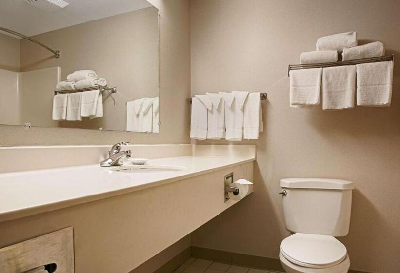 Номер Стандарт, Best Western Airport Inn & Suites Cleveland