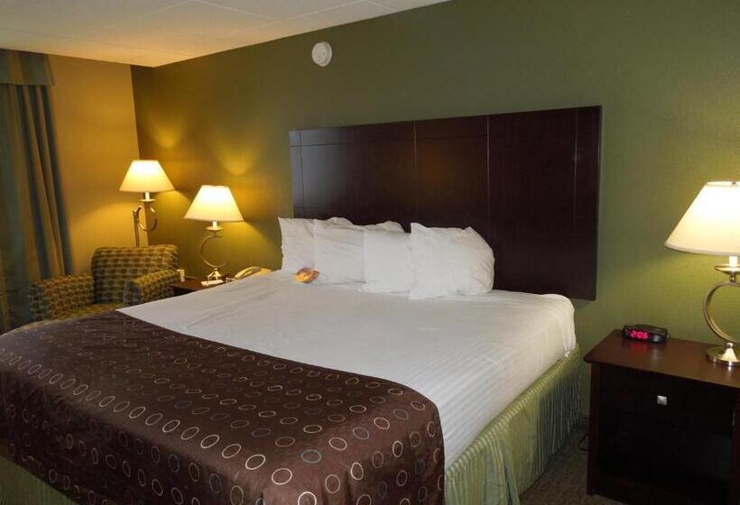 Номер Стандарт Кровать Кинг Адаптированный для Инвалидов, Best Western Airport Inn & Suites Cleveland
