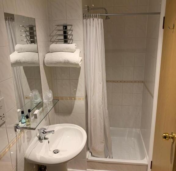 Номер Стандарт Индивидуальный, Best Western Carlton