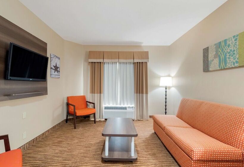 Suite, Best Western Plus Dfw Airport Suites