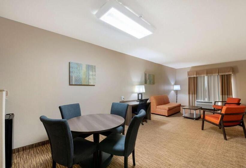Suite, Best Western Plus Dfw Airport Suites