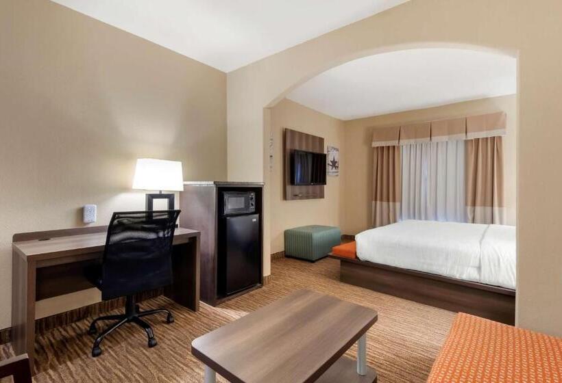 Suite Przystosowany dla Osób Niepełnosprawnych, Best Western Plus Dfw Airport Suites