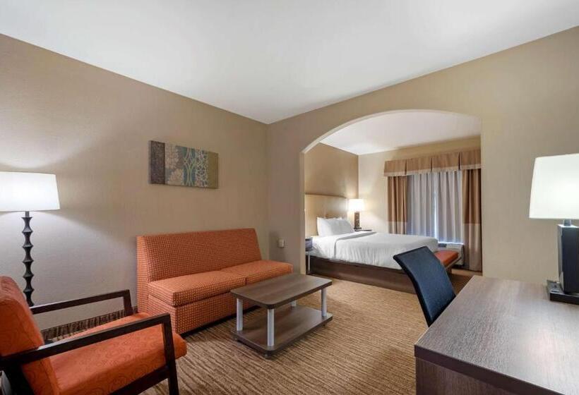 Suite Łóżko King Size, Best Western Plus Dfw Airport Suites