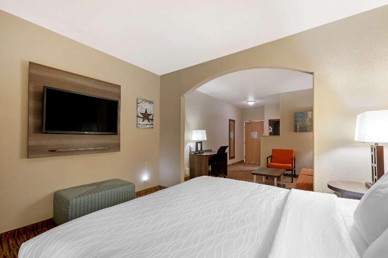 Suite Łóżko King Size, Best Western Plus Dfw Airport Suites