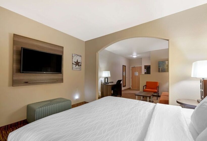 Suite, Best Western Plus Dfw Airport Suites