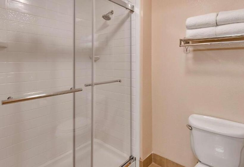 Стандартный Номер Кровать Кинг, Best Western Plus Gateway Inn & Suites   Aurora