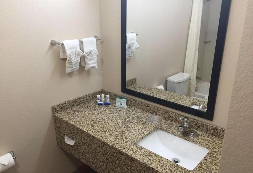 Номер Стандарт, Best Western Plus Gateway Inn & Suites   Aurora