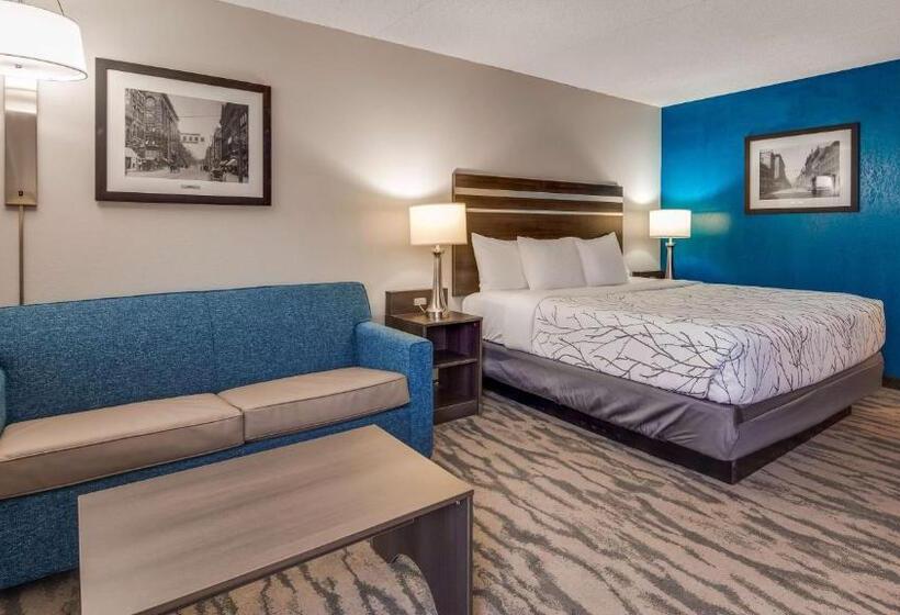 Standard Szoba King Size Bed, Best Western Plus Knoxville Cedar Bluff