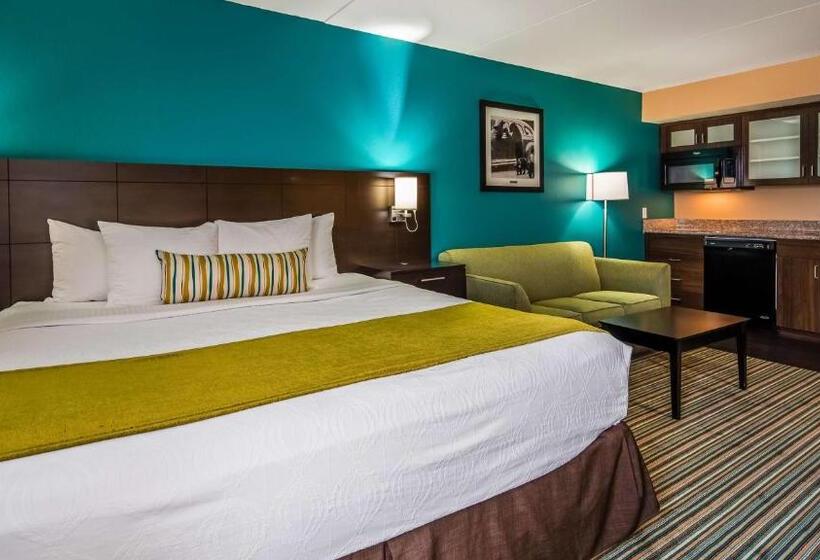 Suite King Size Bed, Best Western Plus Knoxville Cedar Bluff