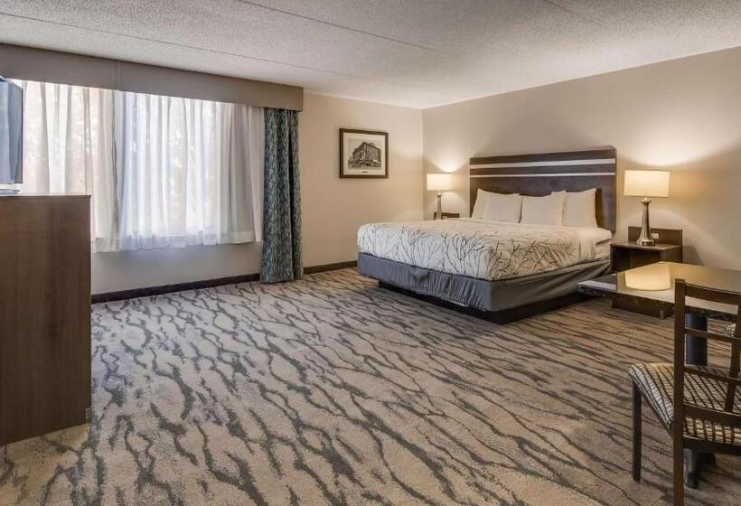 Suite King Size Bed, Best Western Plus Knoxville Cedar Bluff