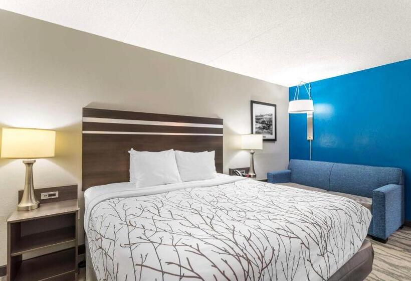 Mozgáskorlátozott Standard Szoba King Size Bed, Best Western Plus Knoxville Cedar Bluff