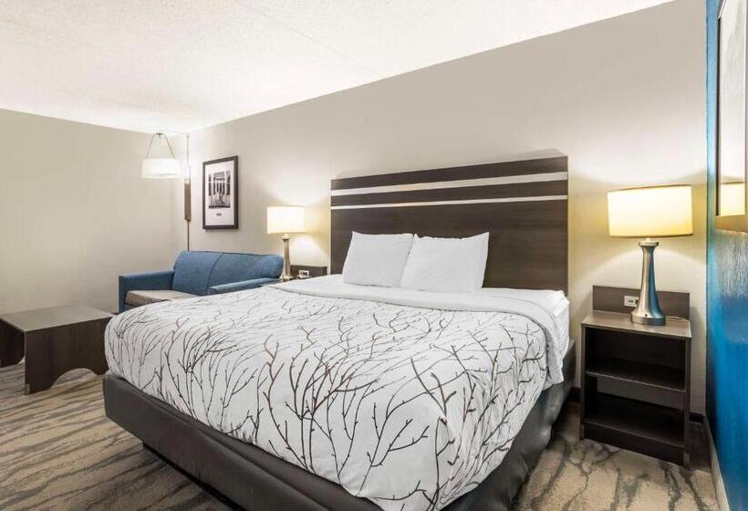 Standard Szoba King Size Bed, Best Western Plus Knoxville Cedar Bluff