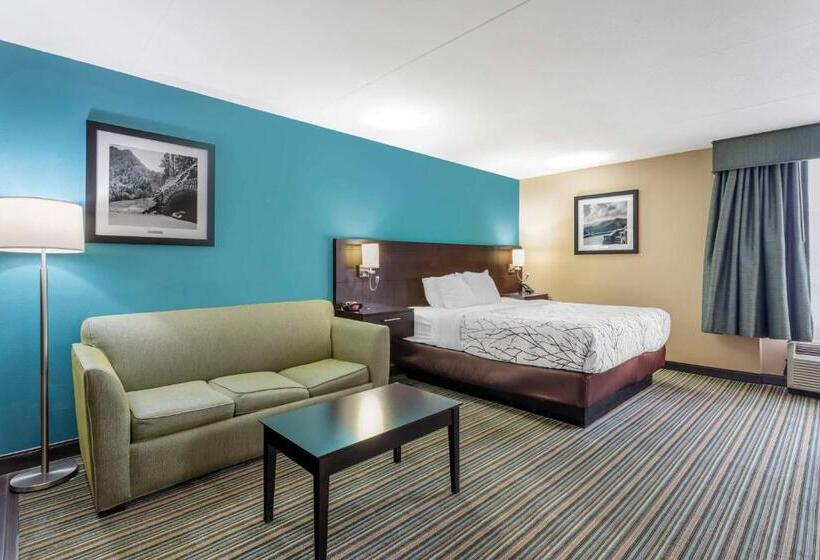 Suite King Size Bed, Best Western Plus Knoxville Cedar Bluff