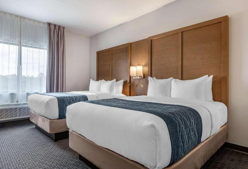 Люкс, Comfort Suites Stuarthutchinson Island