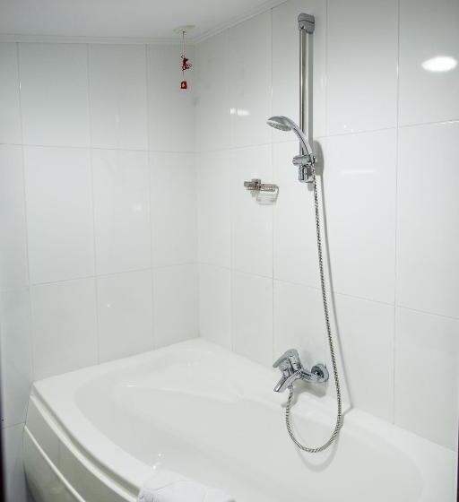آپارتمان 1 خوابه, Carpat Inn