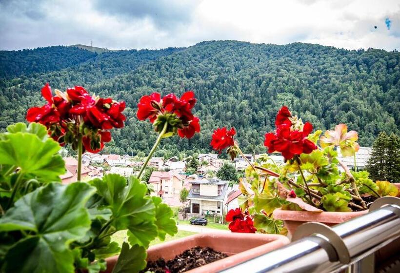 آپارتمان لوکس 1 خوابه, Carpat Inn