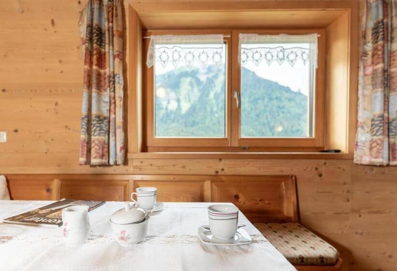 آپارتمان 1 خوابه با چشم‌انداز, Forsthaus Schoppernau