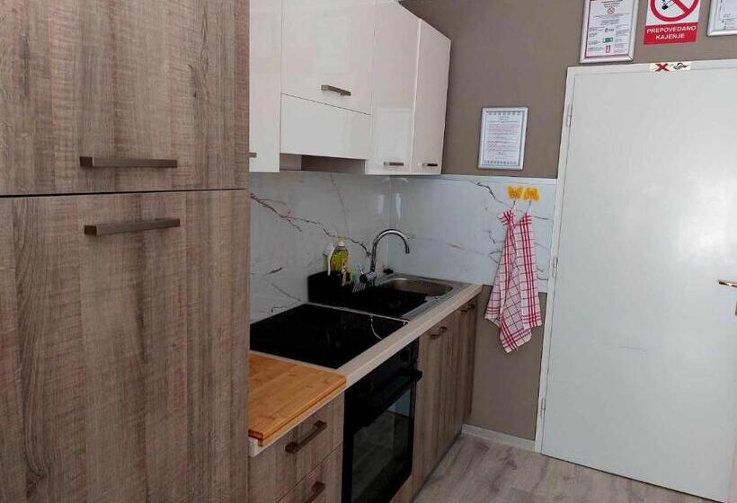 اتاق استاندارد سه تخته با بالکن, Guesthouse Ob Sotočju Budič