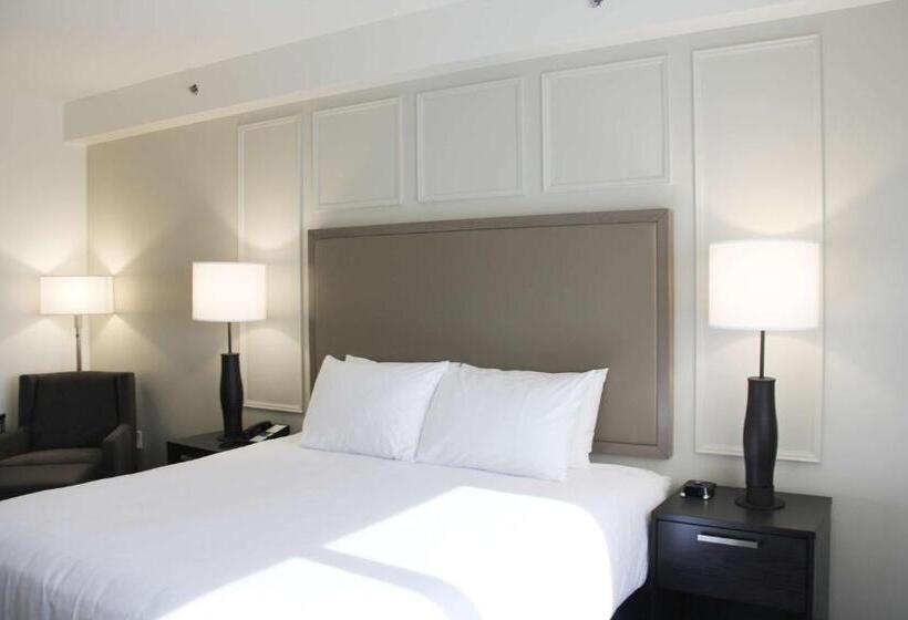 带大床的标准间, Best Western Plus Winkler