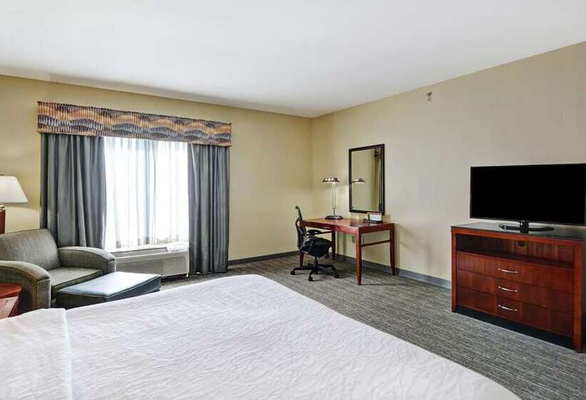 غرفة قياسية سرير كينج, Tru By Hilton Laredo Airport