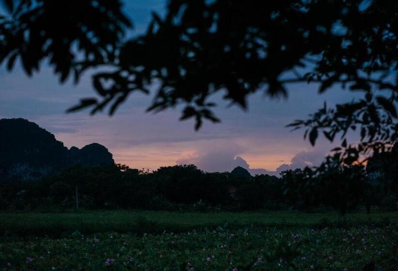اتاق اجرایی, Aravinda Resort Ninh Binh