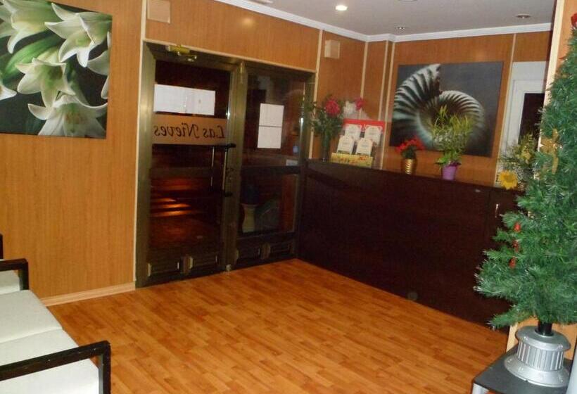 اتاق استاندارد, Auto Check In Hotel Las Nieves