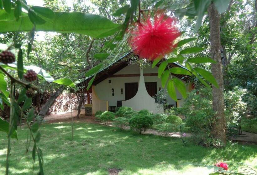 اتاق لوکس, Rimaka Village Tourist Board Approved