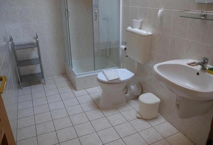 Студио Стандарт с Балконом, Jankó Apartman