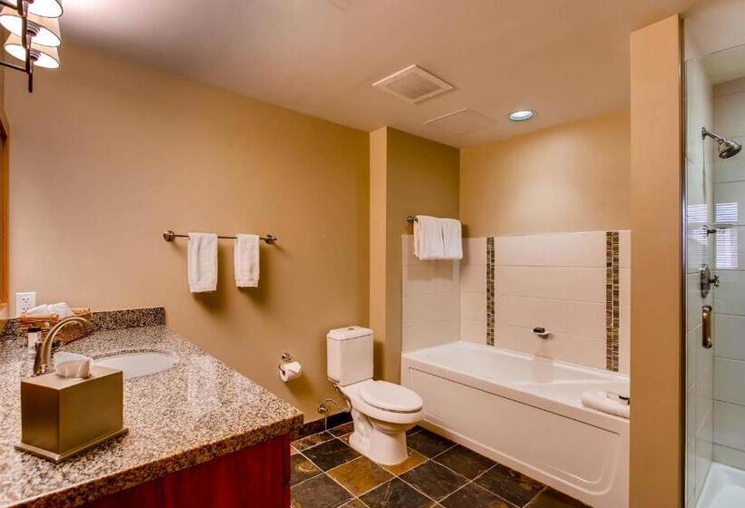 Апартаменты 1 Спальня, Capitol Peak Lodge By Snowmass Mountain Lodging