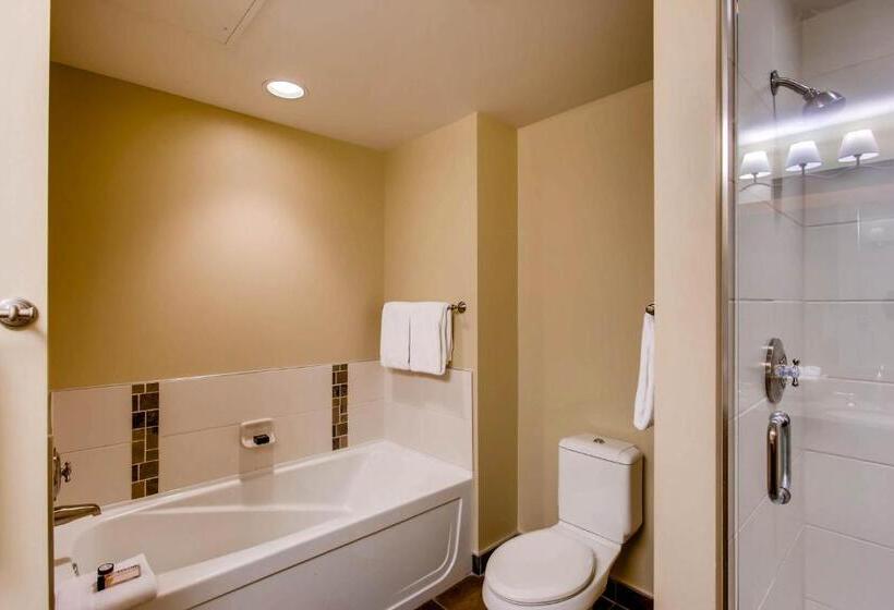 Апартаменты 2 Спальни, Capitol Peak Lodge By Snowmass Mountain Lodging