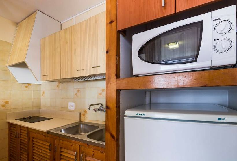 شقة أساسية غرفة واحدة, Apartamentos Arlanza   Only Adults