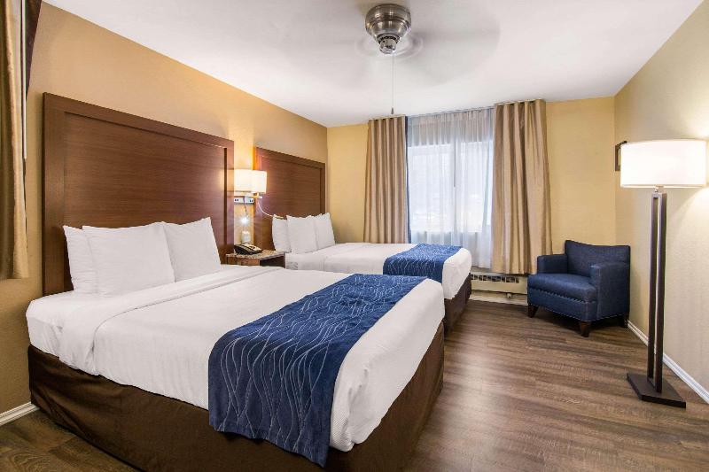 اتاق استاندارد یک نفره, Bellevue Park Hotel Riga With Free Parking