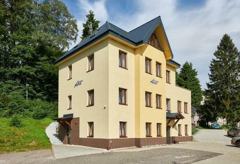 Апартаменты 1 Спальня, Pension Adrie