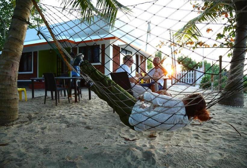 اتاق لوکس, Funky Art Beach House