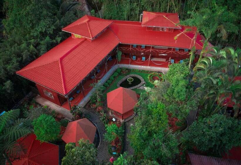 Четырехместный Номер Стандарт, El Jardín Hotel & Restaurante