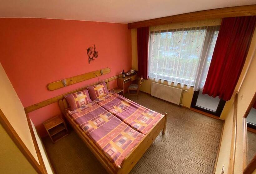 Номер Стандарт с Балконом, Family Hotel Savov