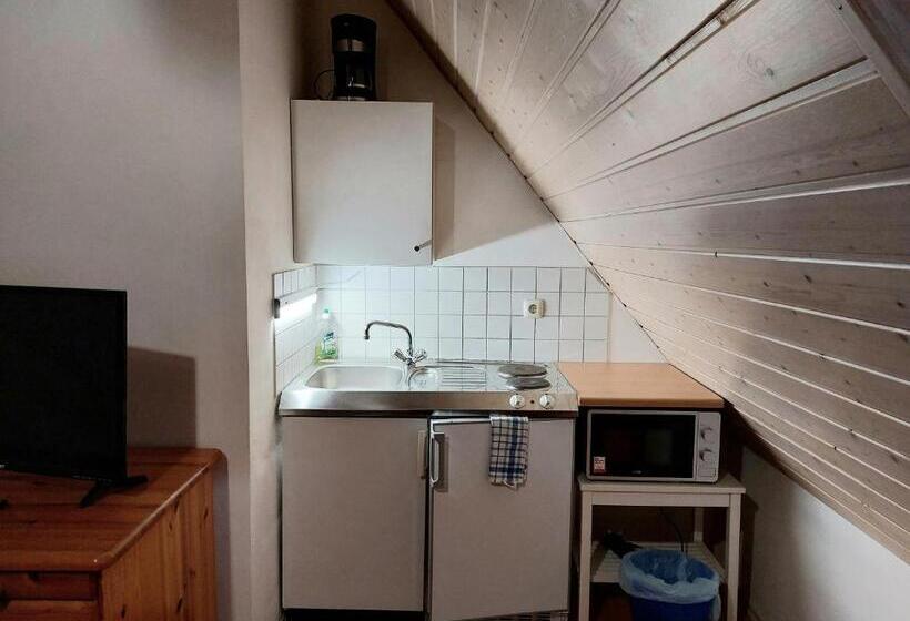 Студия Стандарт, Gästehaus Langhammer