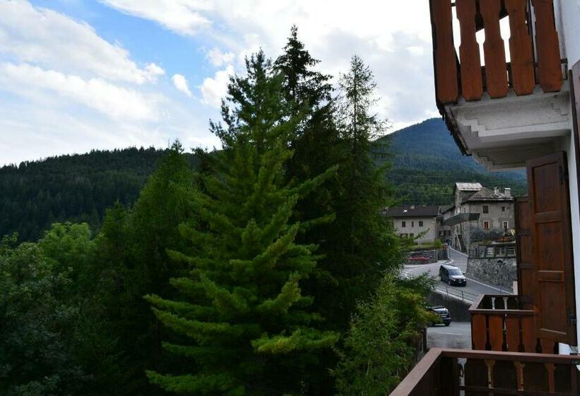 اتاق یک تخته با تراس, Albergo Alpina