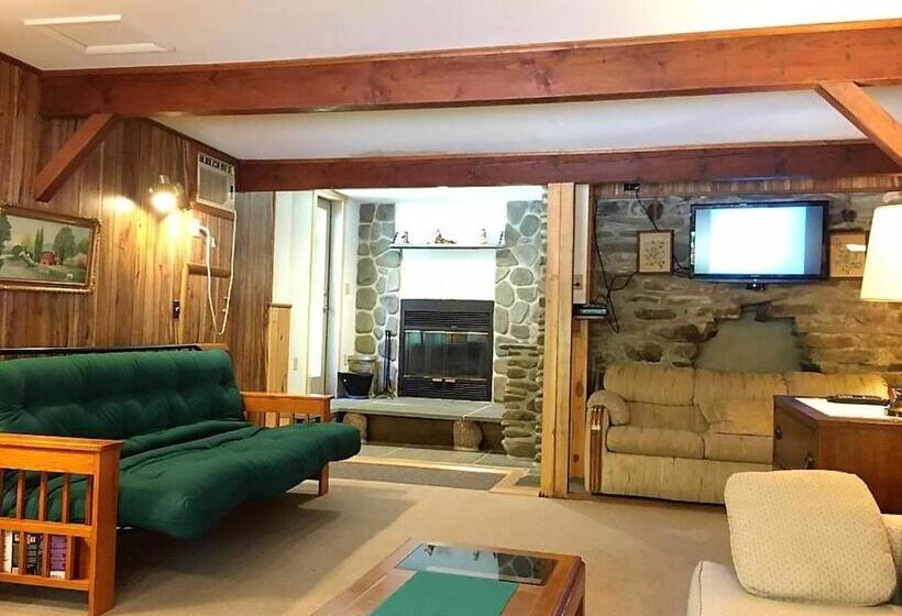 Апартаменты 1 Спальня Нижний Этаж, Slide Mountain Forest House