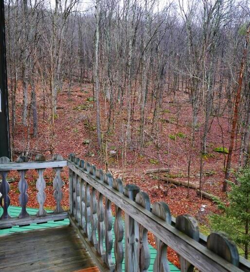 Семейный Номер, Slide Mountain Forest House