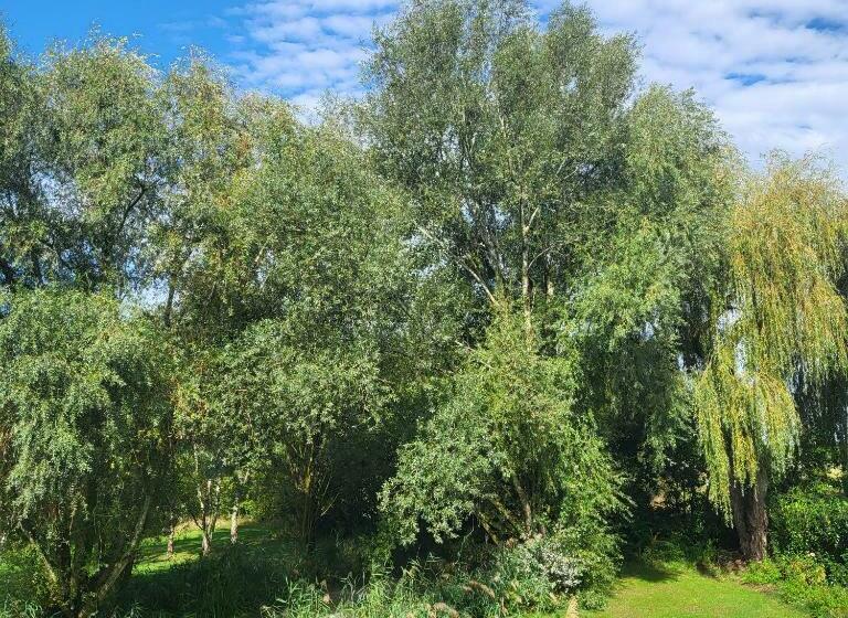 Номер Superior Кровать Кинг, Domaine De La Blonnerie