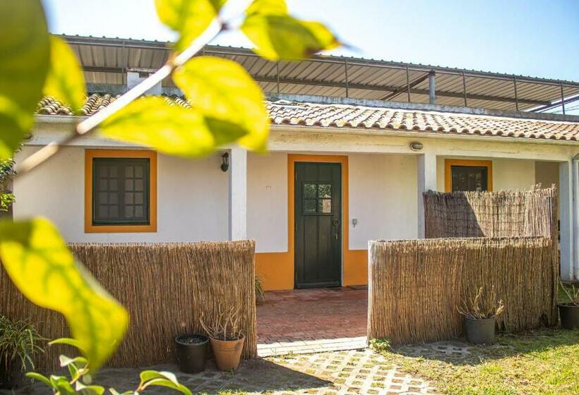 Апартаменты 1 Спальня, Quinta Da Mimosa