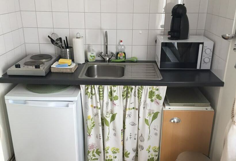 Апартаменты 1 Спальня, The Green House Guesthouse Sunnemo